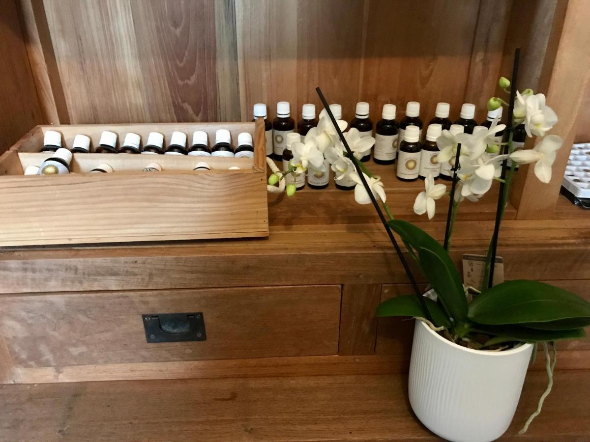 Coeur De Roses, Gite & Chambre D'Hotes Alaigne Buitenkant foto