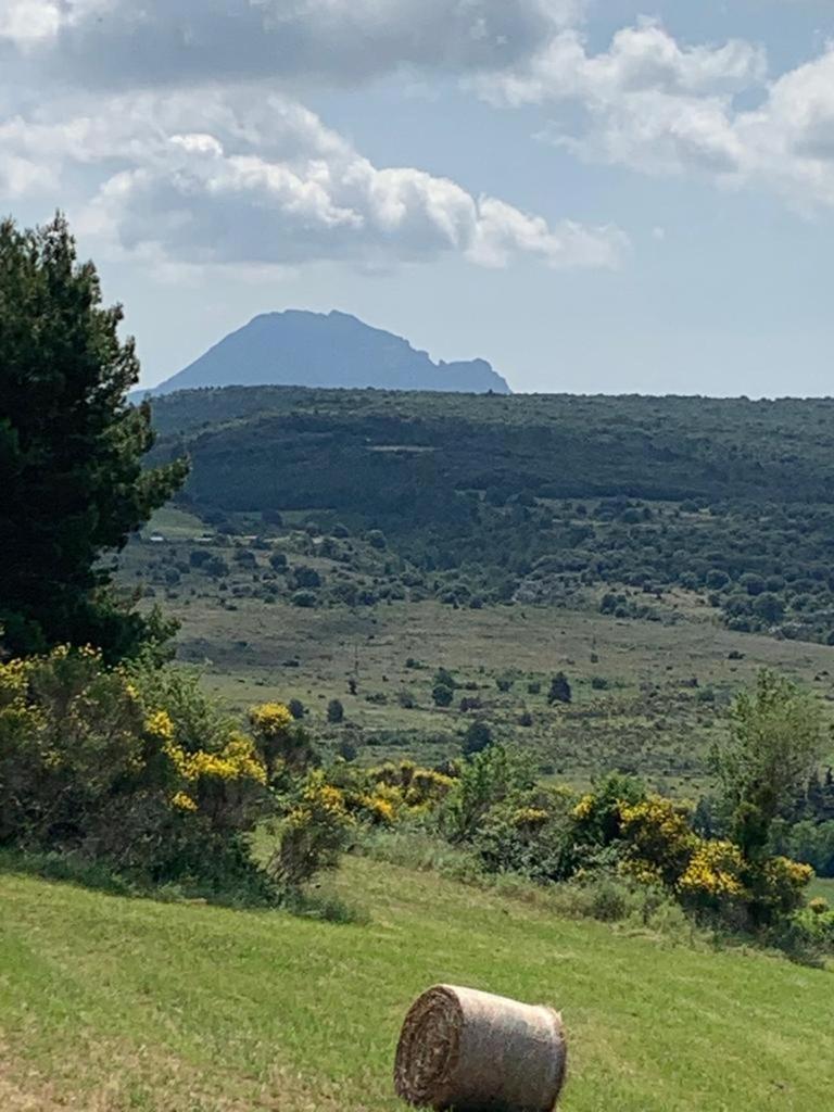 Coeur De Roses, Gite & Chambre D'Hotes Alaigne Buitenkant foto